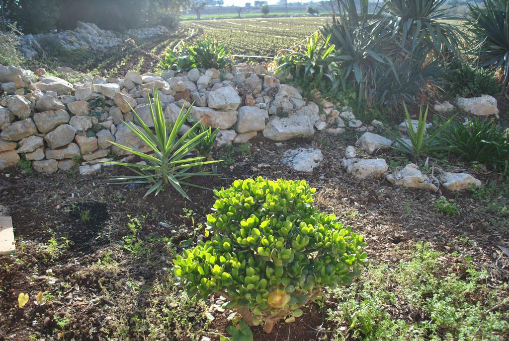 Le Dimore Del Sarto RELAX Polignano a Mare Esterno foto